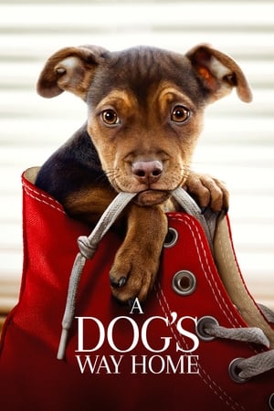 Watch Free A Dogs Way Home (2019)