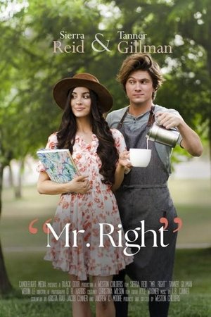 Watch Free Mr Right (2023)