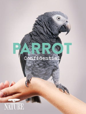 Watch Free Parrot Confidential (2013)