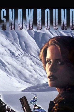 Watch Free Snowbound (2001)