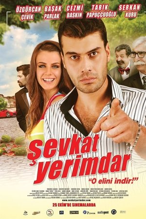 Watch Free Sevkat Yerimdar (2013)