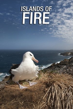 Watch Free Islands of Fire (2019)