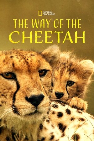 Watch Free The Way of the Cheetah (2022)