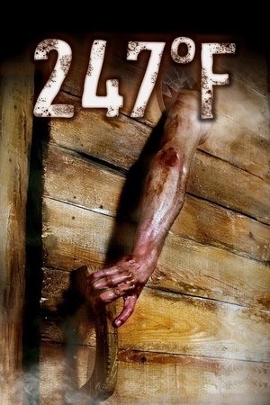 Watch Free 247Â°F (2011)