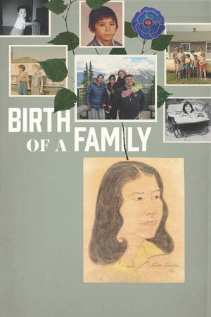 Watch Free Birth of a Family (2017)