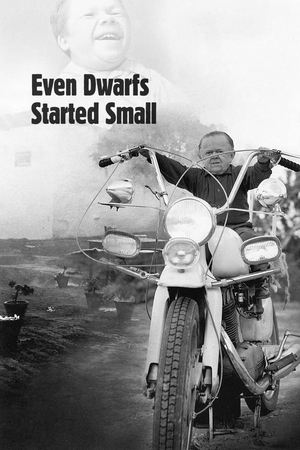 Watch Free Even Dwarfs Started Small (1970)