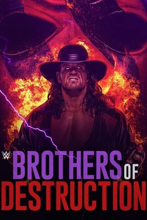 Watch Free Brothers of Destruction (2020)
