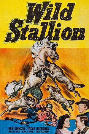 Watch Free Wild Stallion (1952)