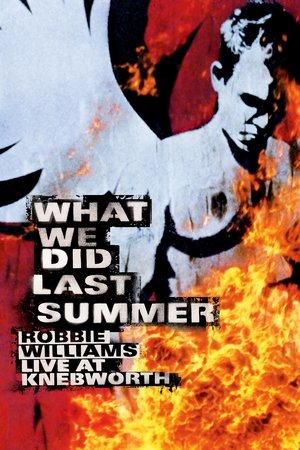 Watch Free Robbie Williams Live at Knebworth (2003)
