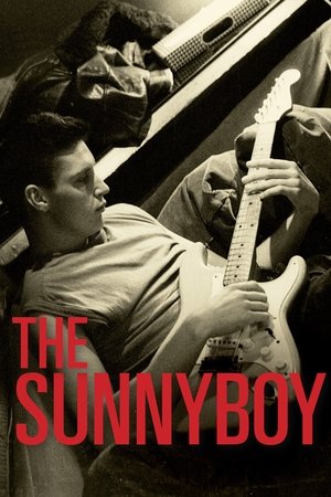 Watch Free The Sunnyboy (2013)