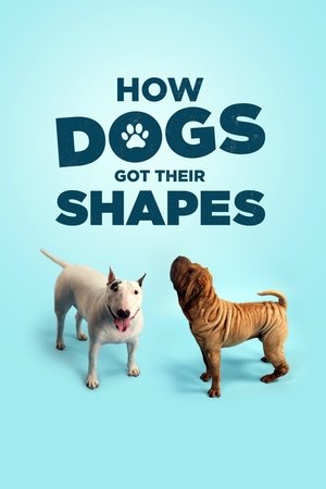 Watch Free How Dogs Got Their Shapes (2016)