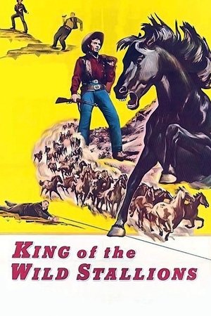Watch Free King of the Wild Stallions (1959)