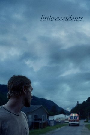 Watch Free Little Accidents (2014)
