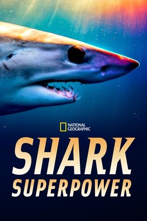 Watch Free Shark Superpower (2022)