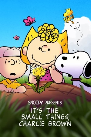 Watch Free Its the Small Things, Charlie Brown (2022)