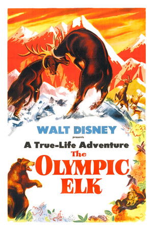 Watch Free The Olympic Elk (1952)