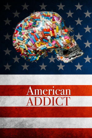 Watch Free American Addict (2012)