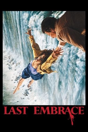 Watch Free Last Embrace (1979)