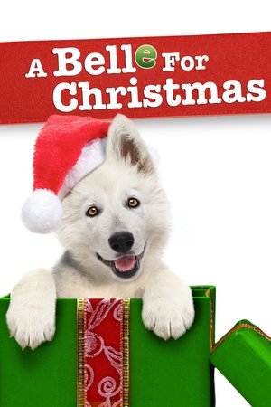 Watch Free A Belle for Christmas (2014)