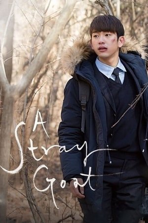 Watch Free A Stray Goat (2017)