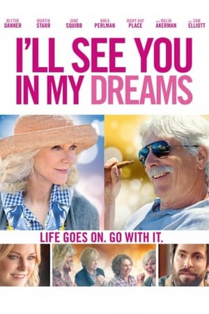 Watch Free Ill See You in My Dreams (2015)