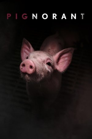 Watch Free Pignorant (2024)