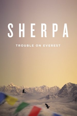 Watch Free Sherpa (2015)