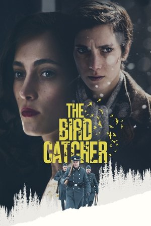Watch Free The Bird Catcher (2016)