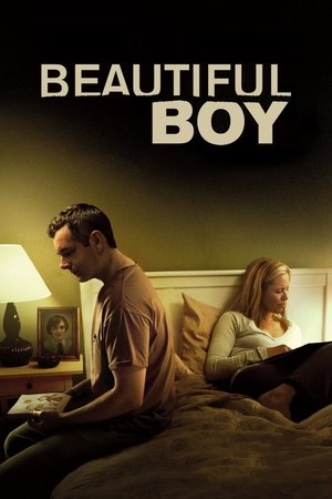 Watch Free Beautiful Boy (2010)