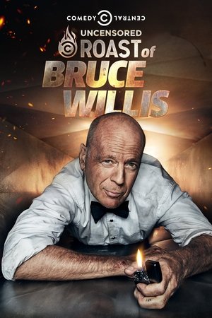 Watch Free Comedy Central Roast of Bruce Willis (2018)