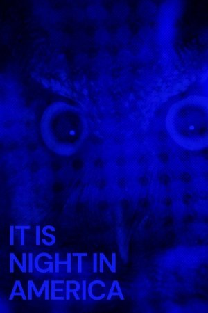 Watch Free It Is Night in America (2022)