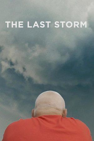 Watch Free The Last Storm (2018)