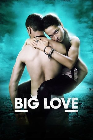 Watch Free Big Love (2012)