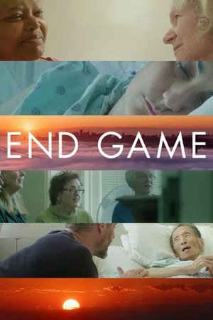 Watch Free End Game (2018)