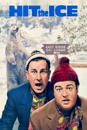 Watch Free Hit the Ice (1943)