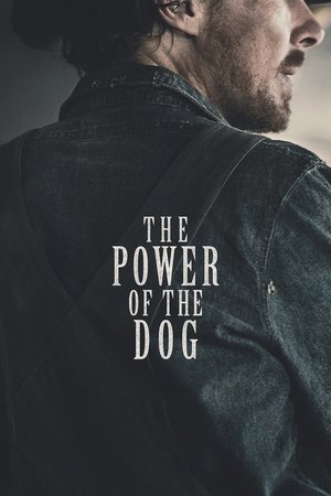 Watch Free The Power of the Dog (2021)