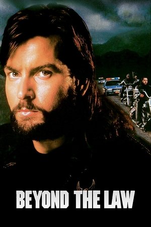 Watch Free Beyond the Law (1993)