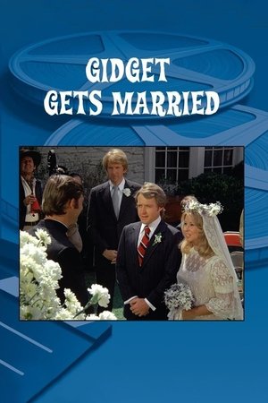 Watch Free Gidget Gets Married (1972)