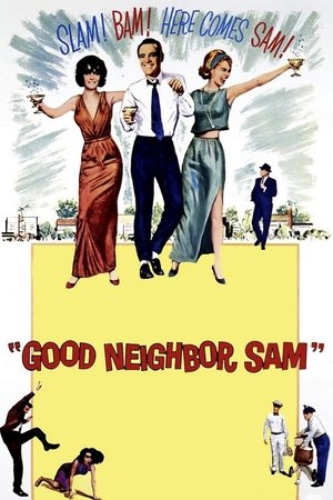 Watch Free Good Neighbor Sam (1964)