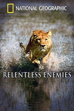 Watch Free Relentless Enemies (2006)