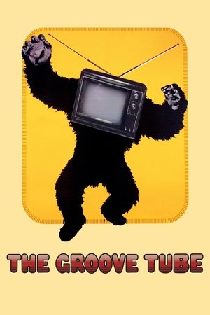 Watch Free The Groove Tube (1974)