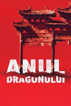 Watch Free Anul dragonului (2013)