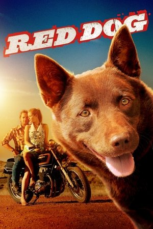 Watch Free Red Dog (2011)