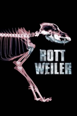 Watch Free Rottweiler (2004)