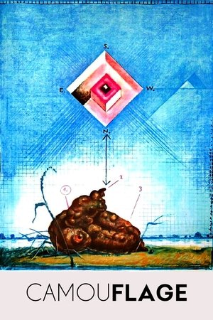 Watch Free Camouflage (1977)