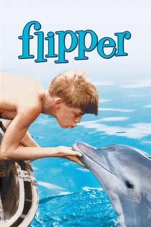 Watch Free Flipper (1963)
