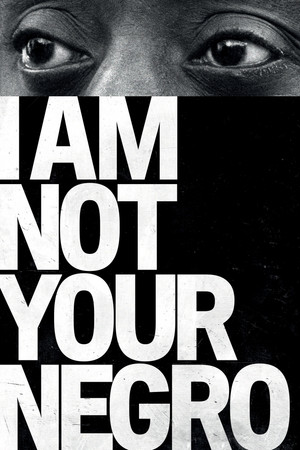 Watch Free I Am Not Your Negro (2016)