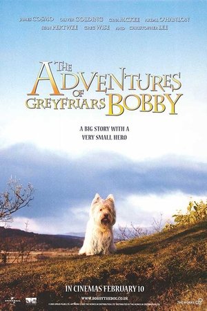 Watch Free The Adventures of Greyfriars Bobby (2005)