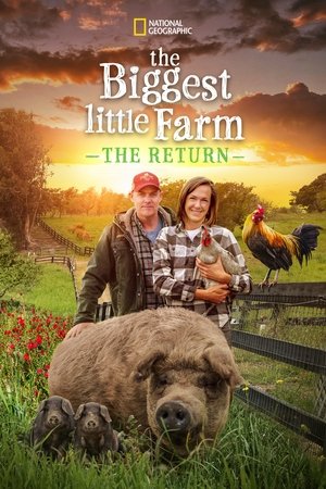 Watch Free The Biggest Little Farm The Return (2022)