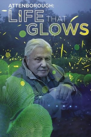 Watch Free Attenboroughs Life That Glows (2016)